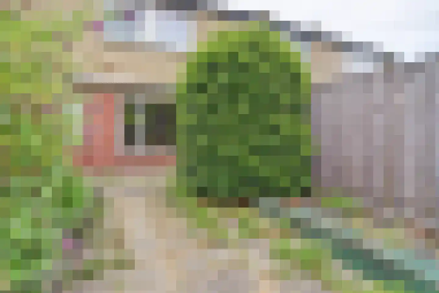 Hertogshoef 67 Raamsdonksveer thumbnail 30