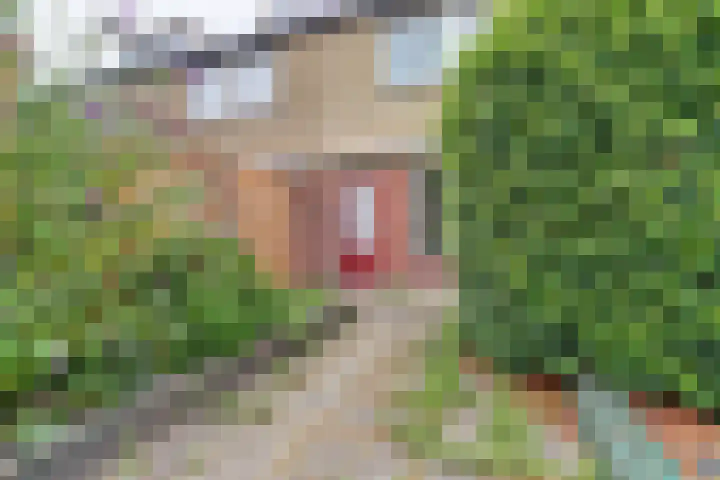 Hertogshoef 67 Raamsdonksveer thumbnail 31