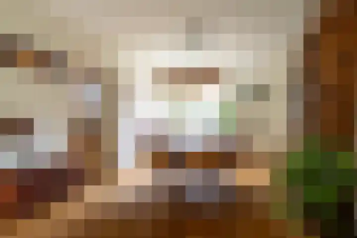 Hertogshoef 71 Raamsdonksveer thumbnail 12