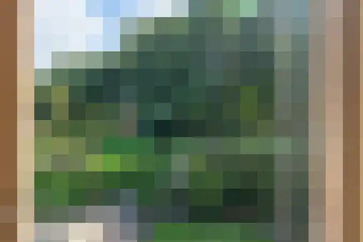 Hertogshoef 71 Raamsdonksveer thumbnail 19