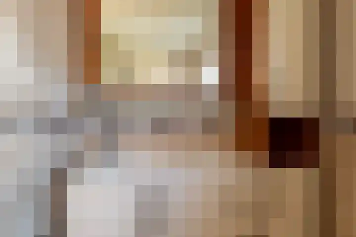 Hertogshoef 71 Raamsdonksveer thumbnail 25