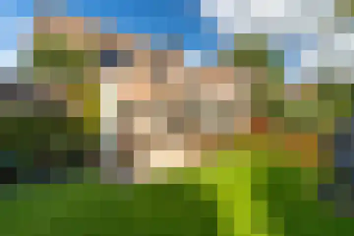 Hertogshoef 71 Raamsdonksveer thumbnail 27