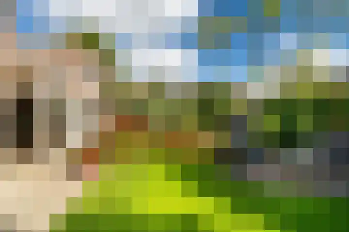 Hertogshoef 71 Raamsdonksveer thumbnail 28