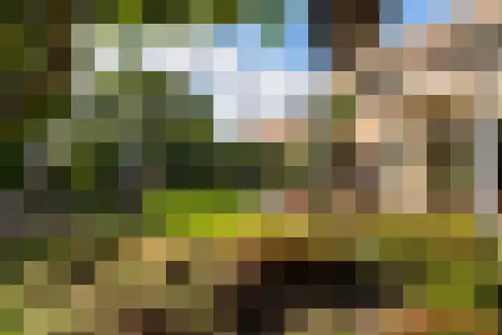 Hertogshoef 71 Raamsdonksveer thumbnail 29