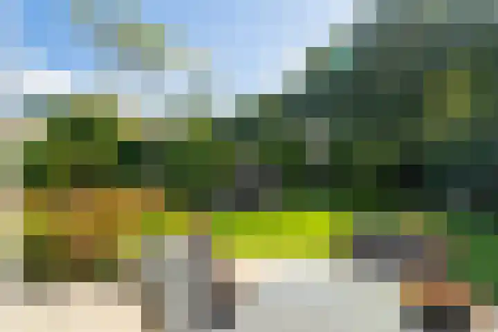 Hertogshoef 71 Raamsdonksveer thumbnail 30
