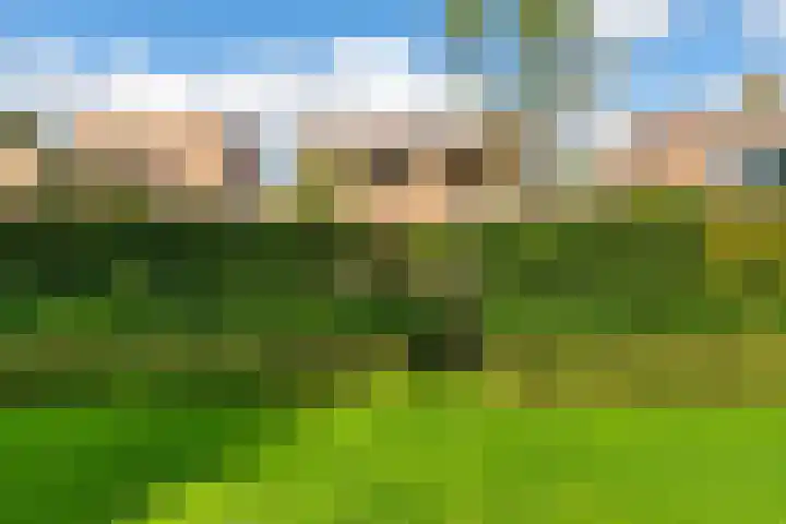 Hertogshoef 71 Raamsdonksveer thumbnail 31