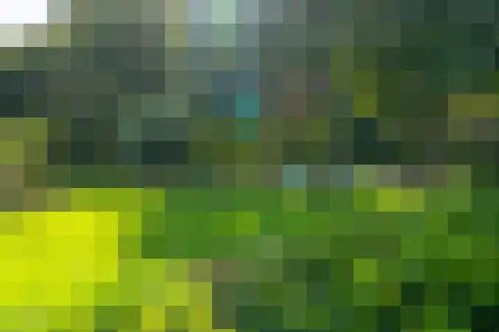 Hertogshoef 71 Raamsdonksveer thumbnail 32