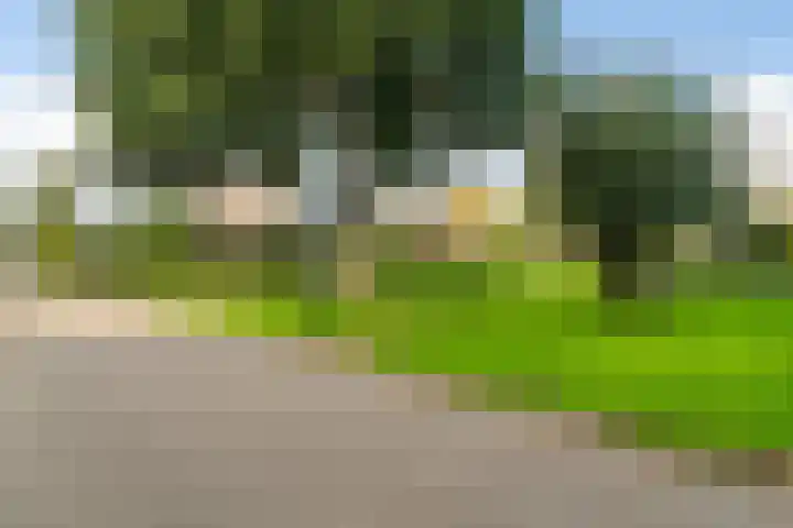 Hertogshoef 71 Raamsdonksveer thumbnail 33