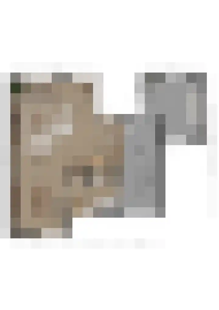 Hertogshoef 71 Raamsdonksveer thumbnail 34