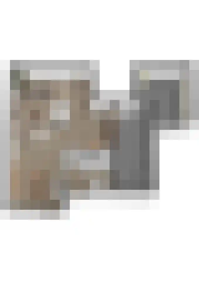 Hertogshoef 71 Raamsdonksveer thumbnail 35