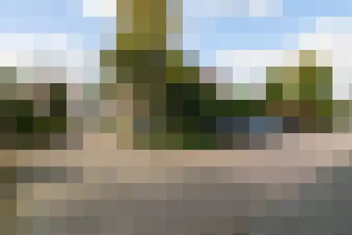 Hertogshoef 71 Raamsdonksveer thumbnail 4