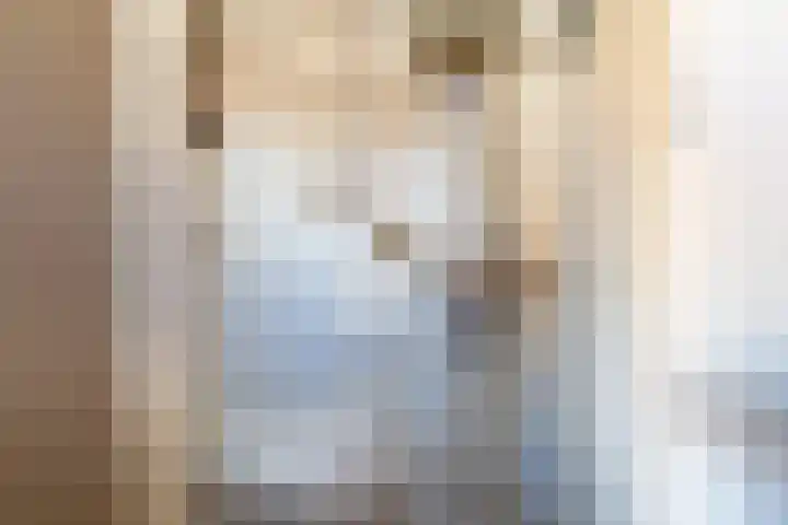 Hertogshoef 71 Raamsdonksveer thumbnail 6