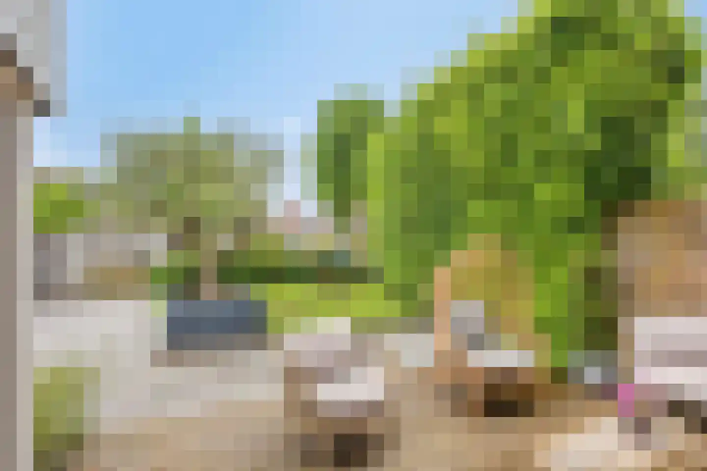 Hertogshoef 75 Raamsdonksveer thumbnail 29