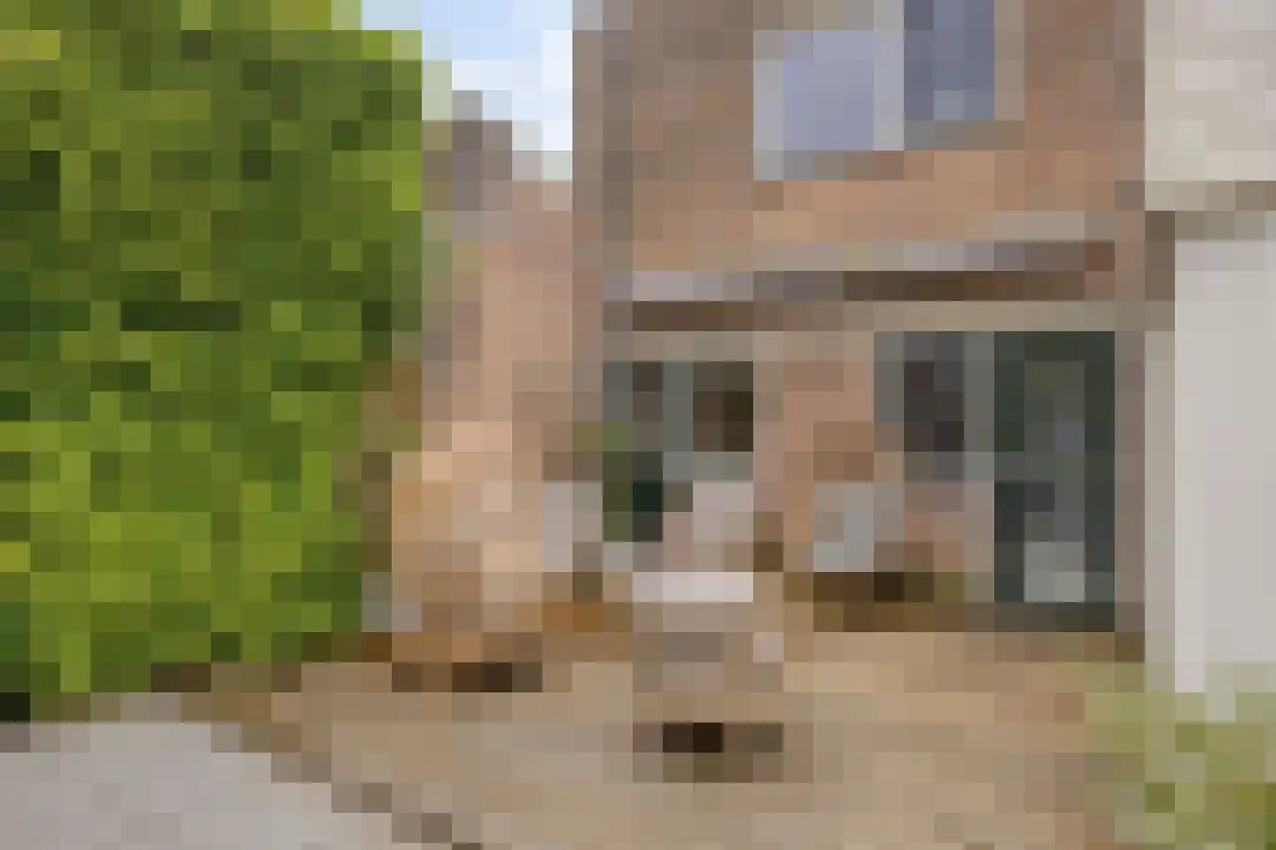 Hertogshoef 75 Raamsdonksveer thumbnail 30