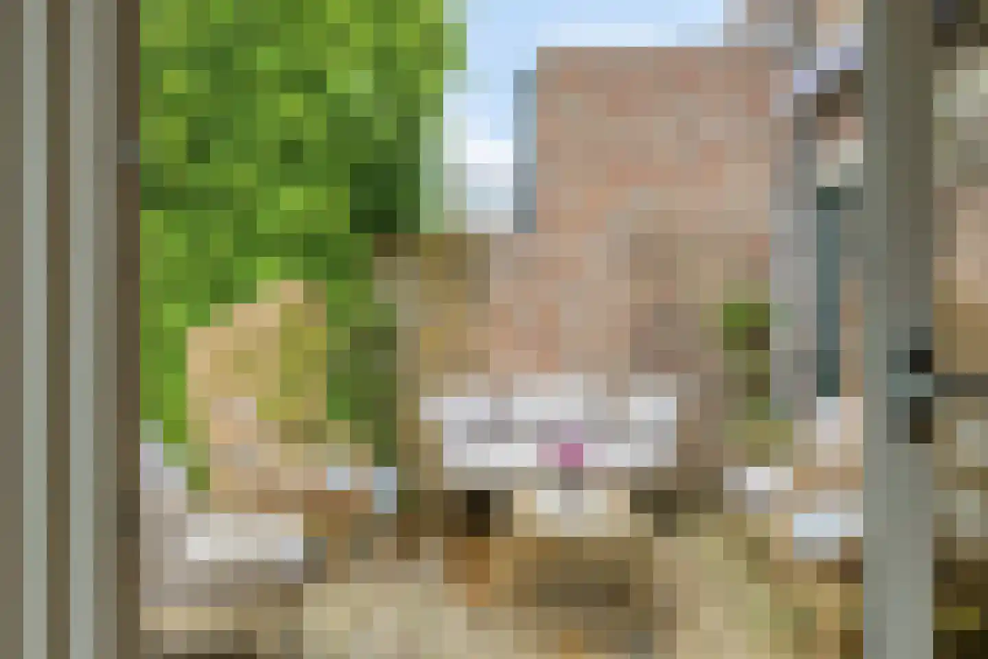 Hertogshoef 75 Raamsdonksveer thumbnail 32