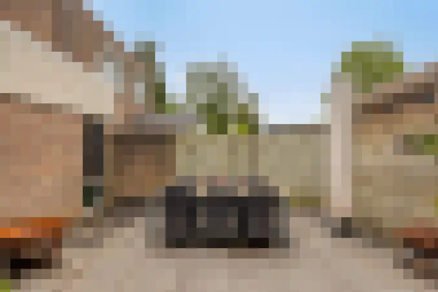 Hertogshoef 75 Raamsdonksveer thumbnail 33