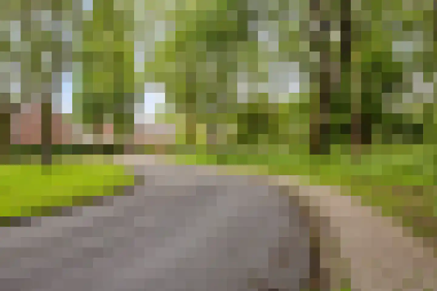 Hertogshoef 75 Raamsdonksveer thumbnail 34