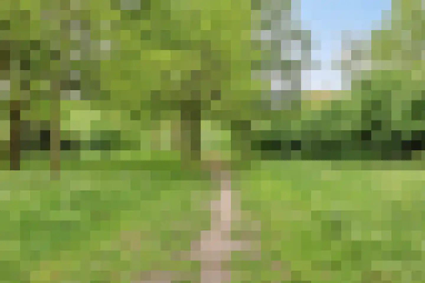 Hertogshoef 75 Raamsdonksveer thumbnail 35
