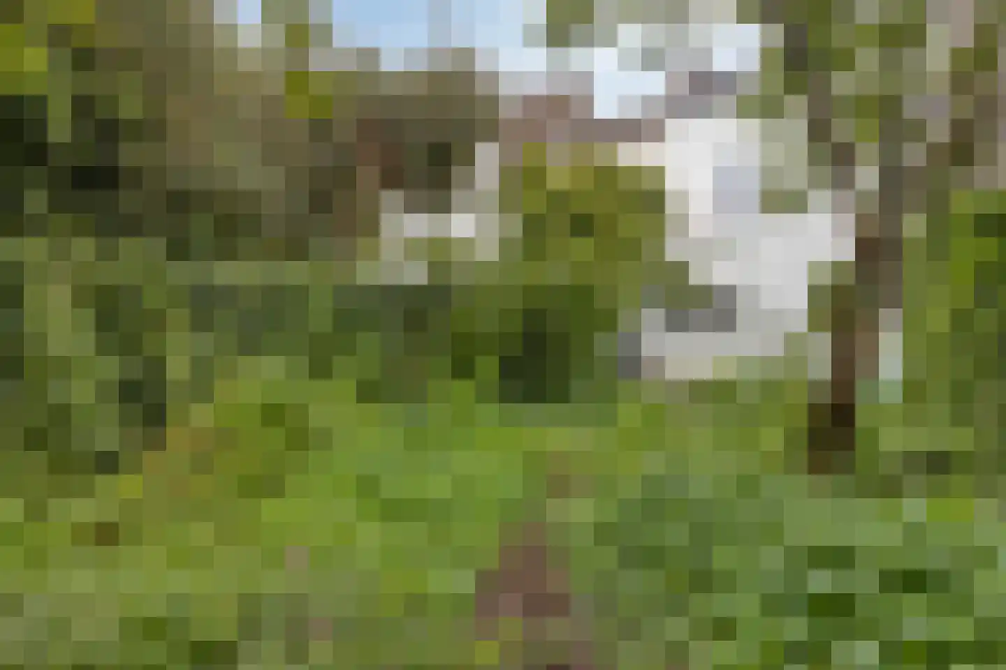 Hertogsingel 10 Maastricht thumbnail 22