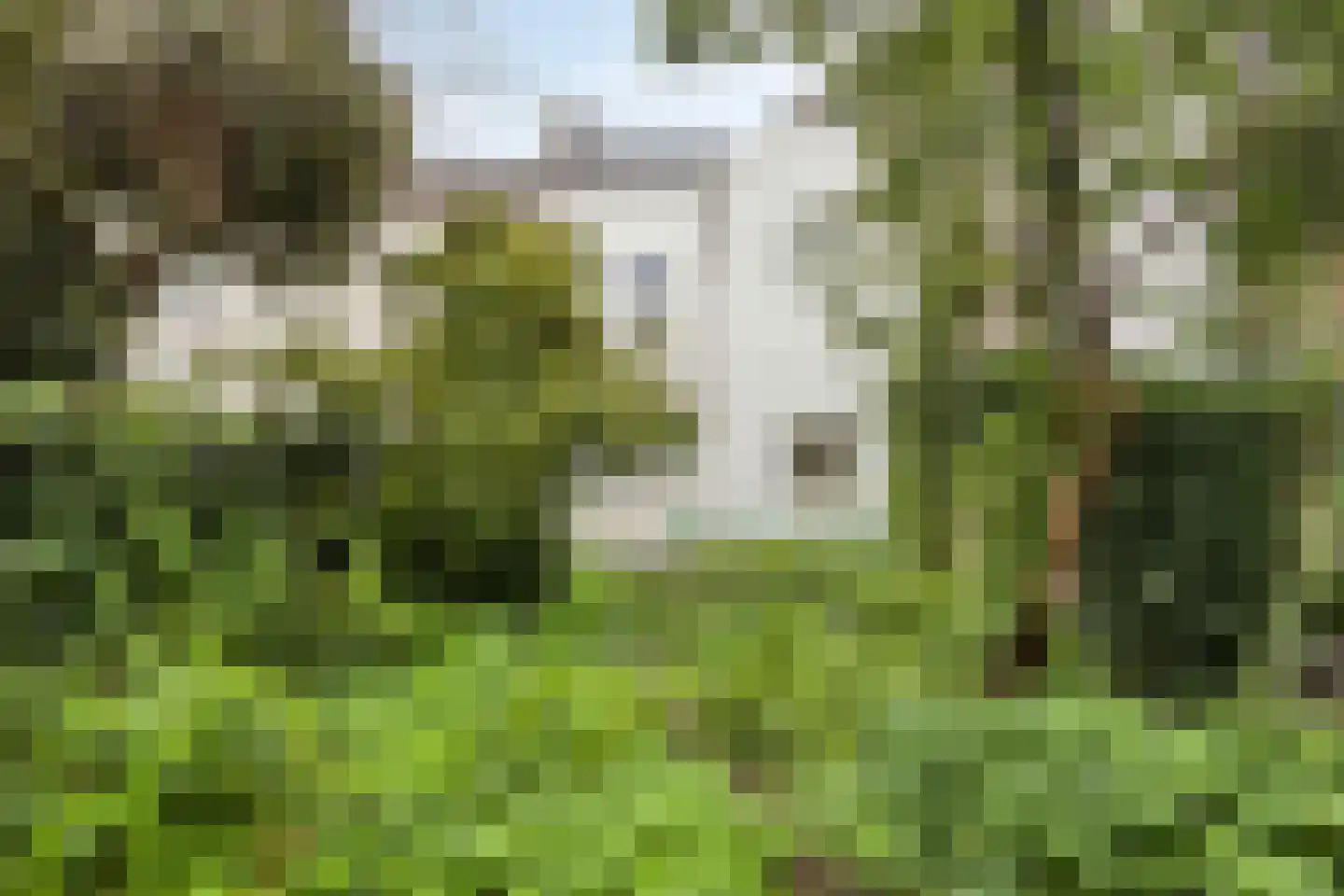 Hertogsingel 10 Maastricht thumbnail 26