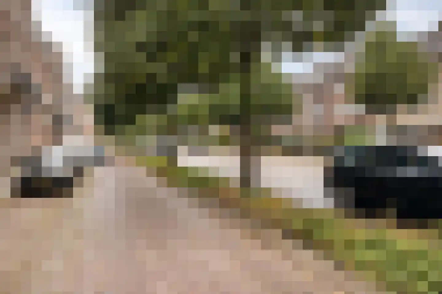 Hertogsingel 10 Maastricht thumbnail 50