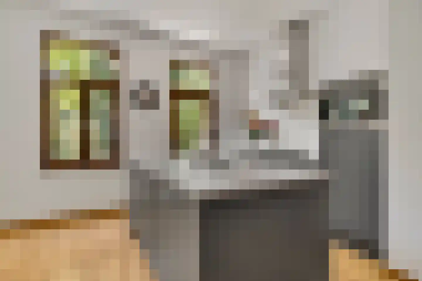 Hertogsingel 6 Maastricht thumbnail 18