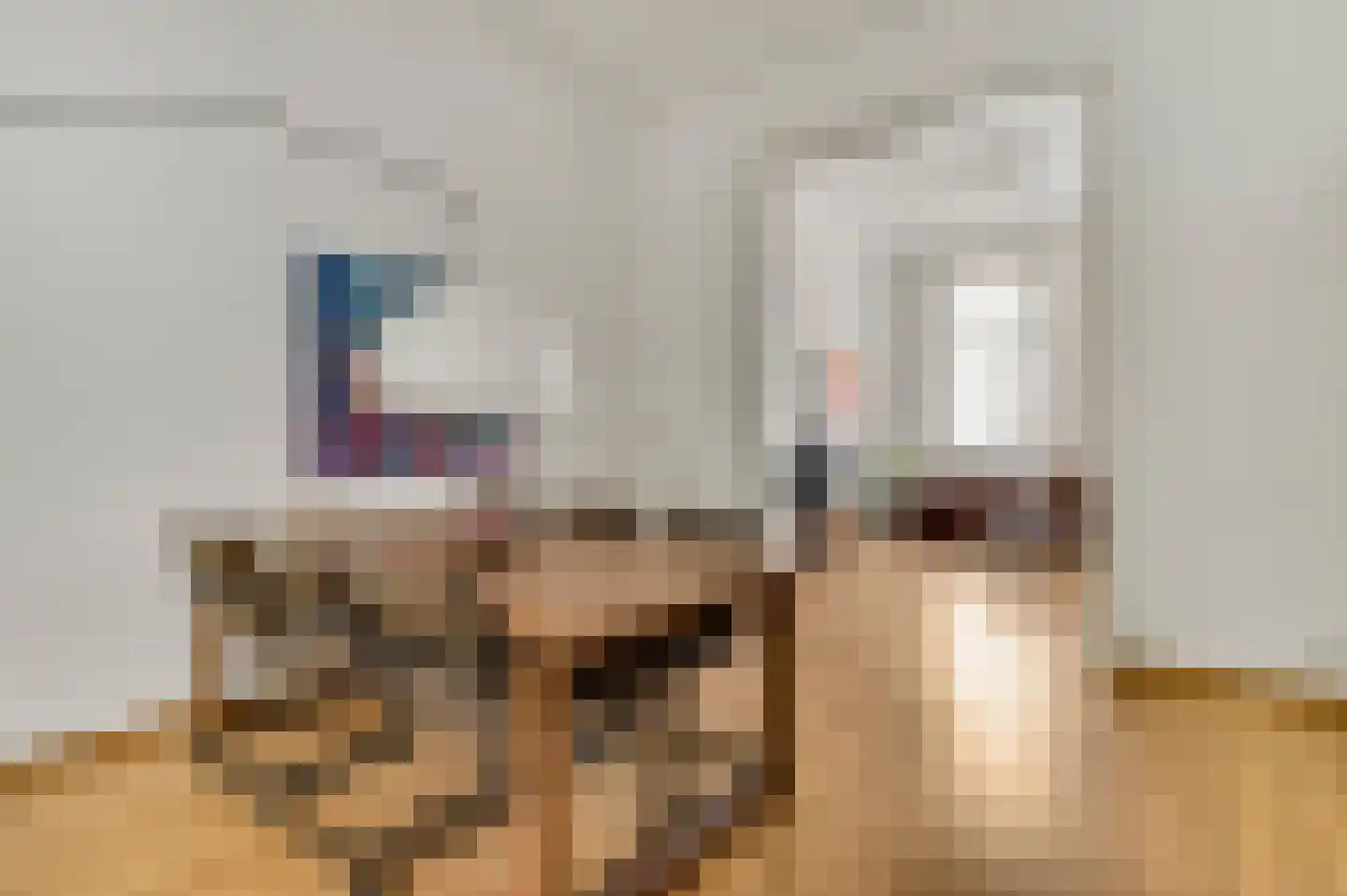 Hertogsingel 6 Maastricht foto 3