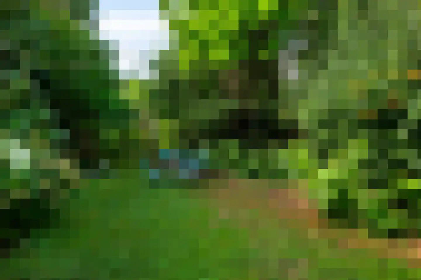 Hertogsingel 6 Maastricht thumbnail 31