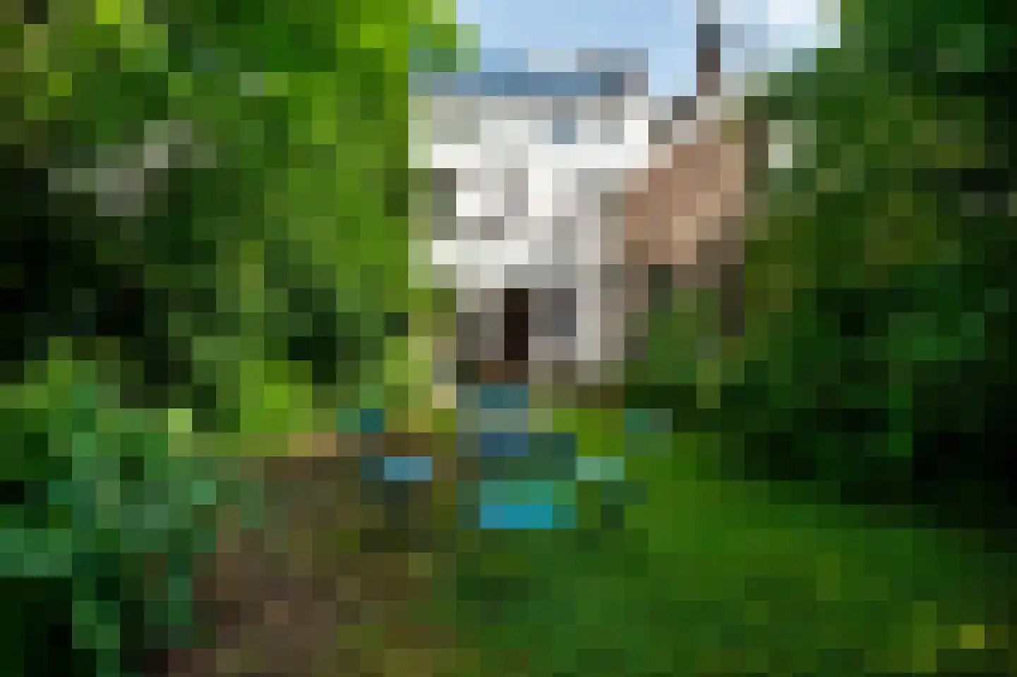 Hertogsingel 6 Maastricht thumbnail 32