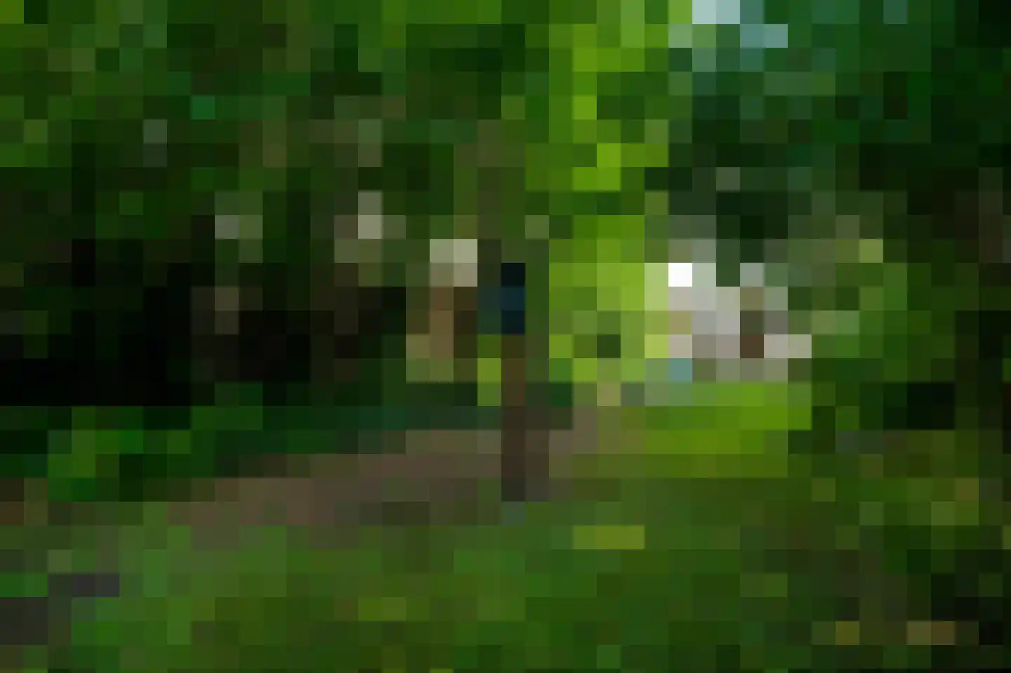 Hertogsingel 6 Maastricht thumbnail 33