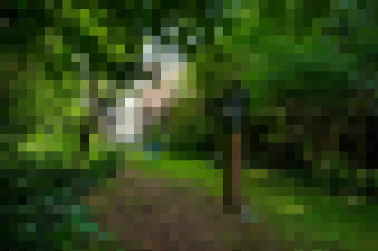 Hertogsingel 6 Maastricht thumbnail 34