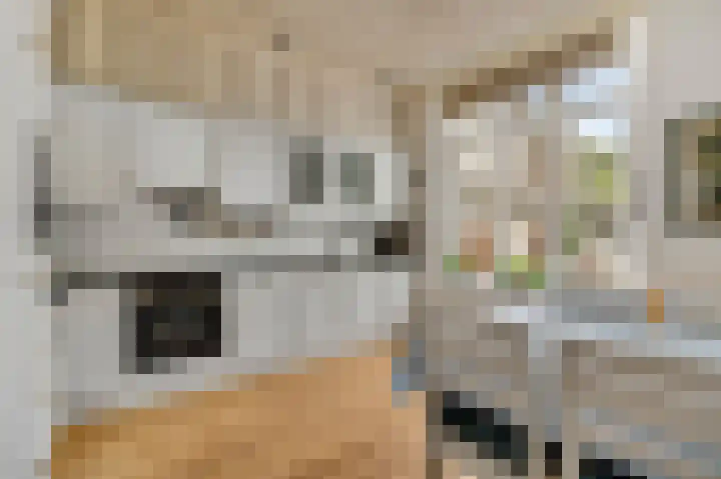 Hertogsingel 6 Maastricht thumbnail 47