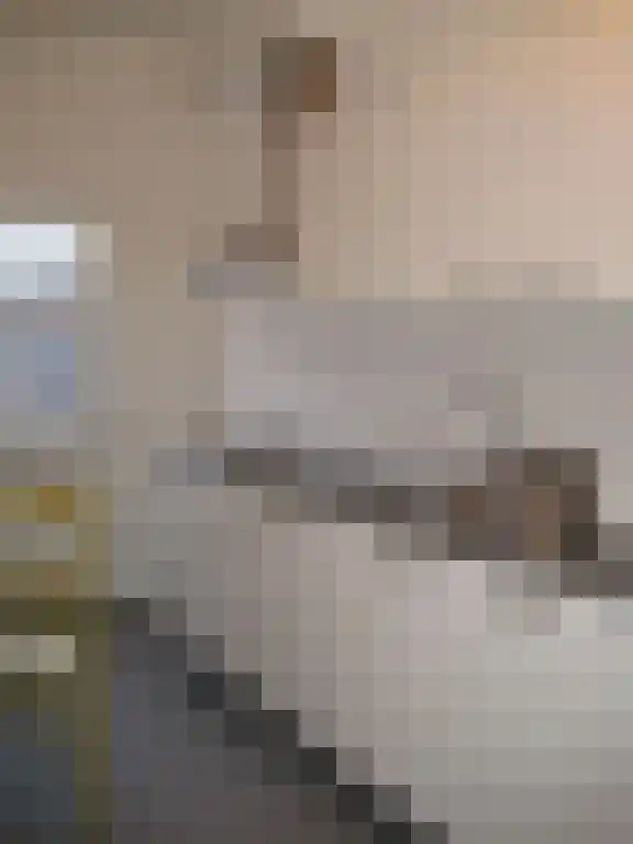 Hertogsingel 79 Maastricht thumbnail 5