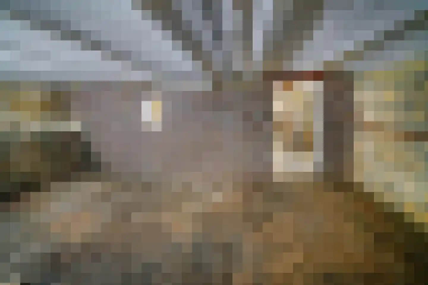 Hertogsingel 8 Maastricht thumbnail 18