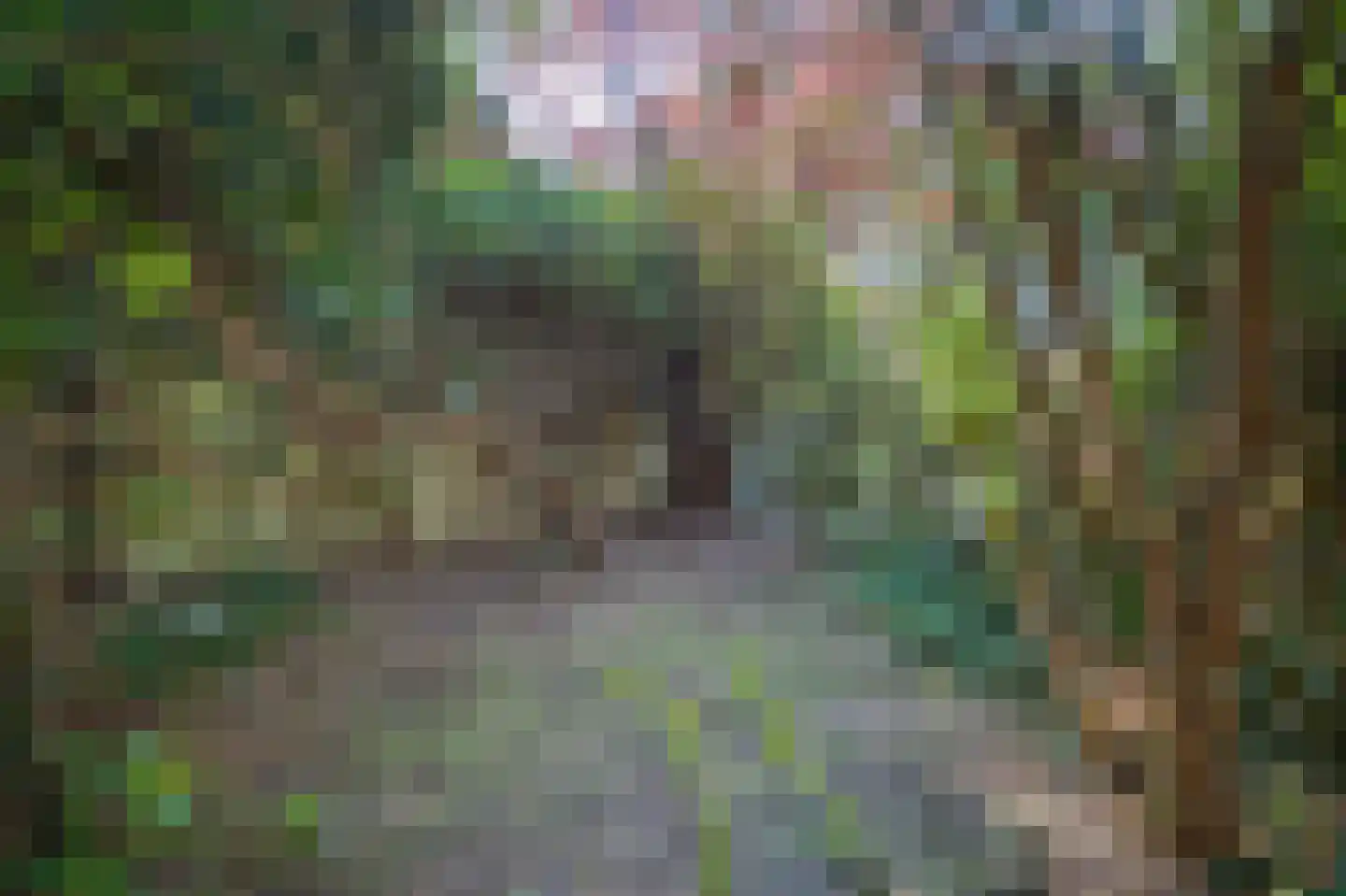 Hertogsingel 8 Maastricht thumbnail 21