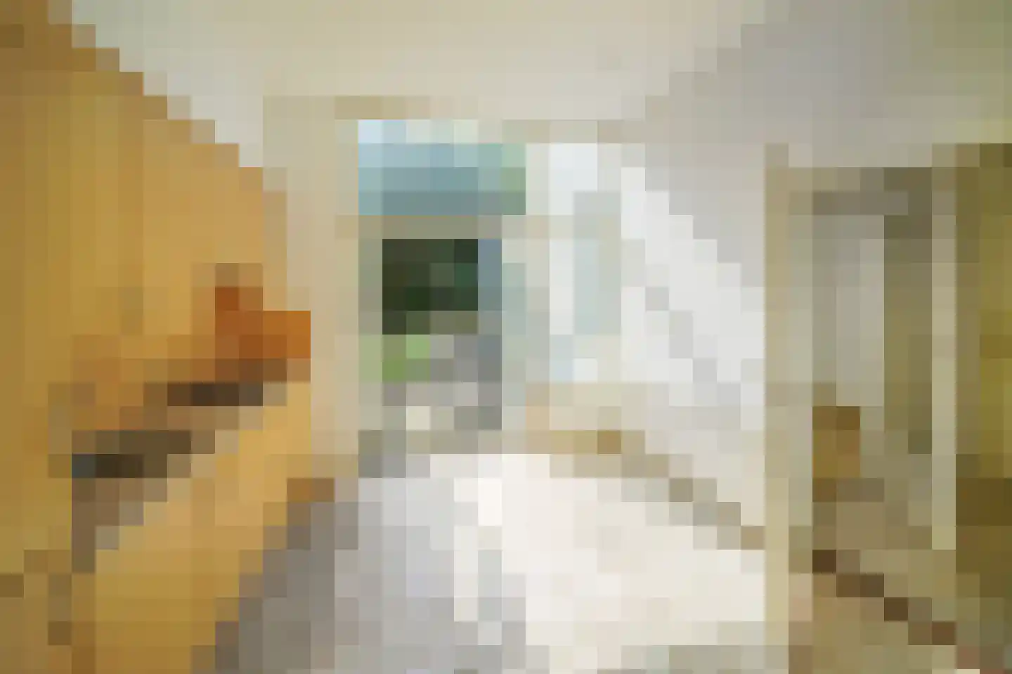 Hertogsingel 8 Maastricht thumbnail 6