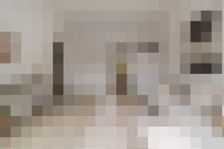 Hertogsingel 85 C Maastricht thumbnail 8