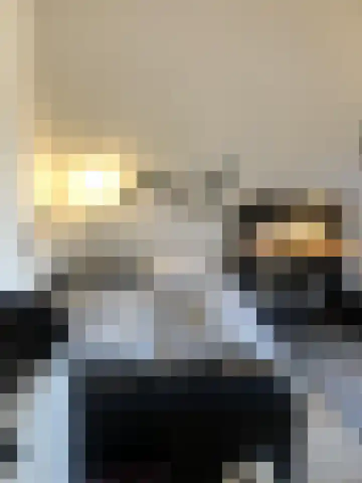 Hertogsingel Maastricht thumbnail 4