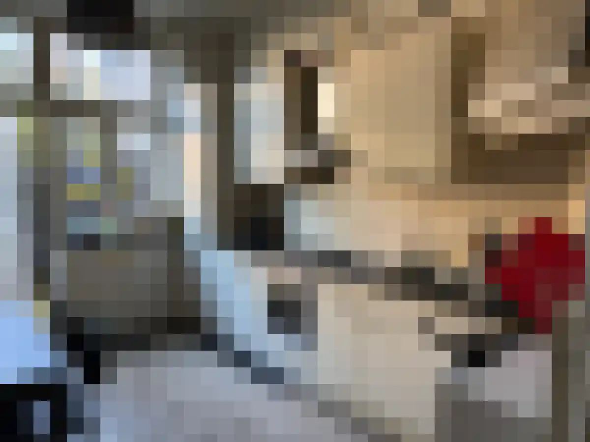 Hertogsingel Maastricht thumbnail 4