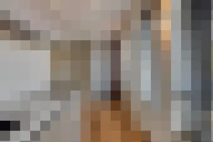 Hertogstraat 1 01 Eindhoven thumbnail 10