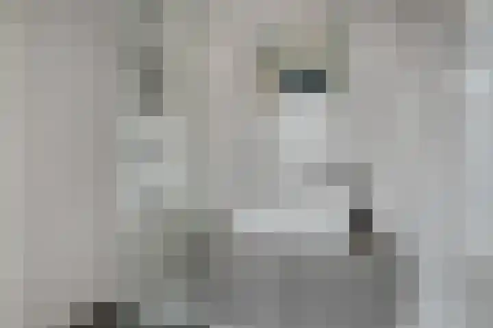 Hertogstraat 1 01 Eindhoven thumbnail 13