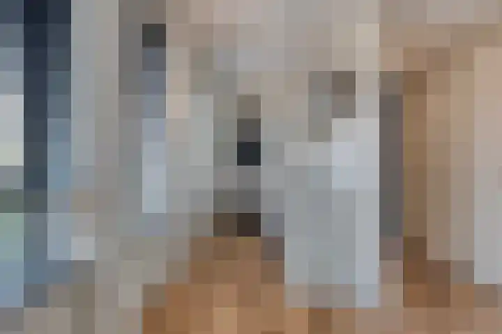 Hertogstraat 1 01 Eindhoven thumbnail 8