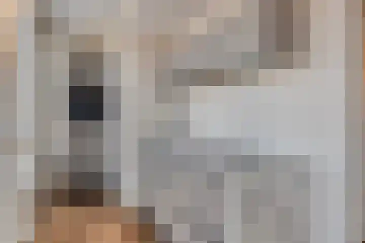 Hertogstraat 1 01 Eindhoven thumbnail 9