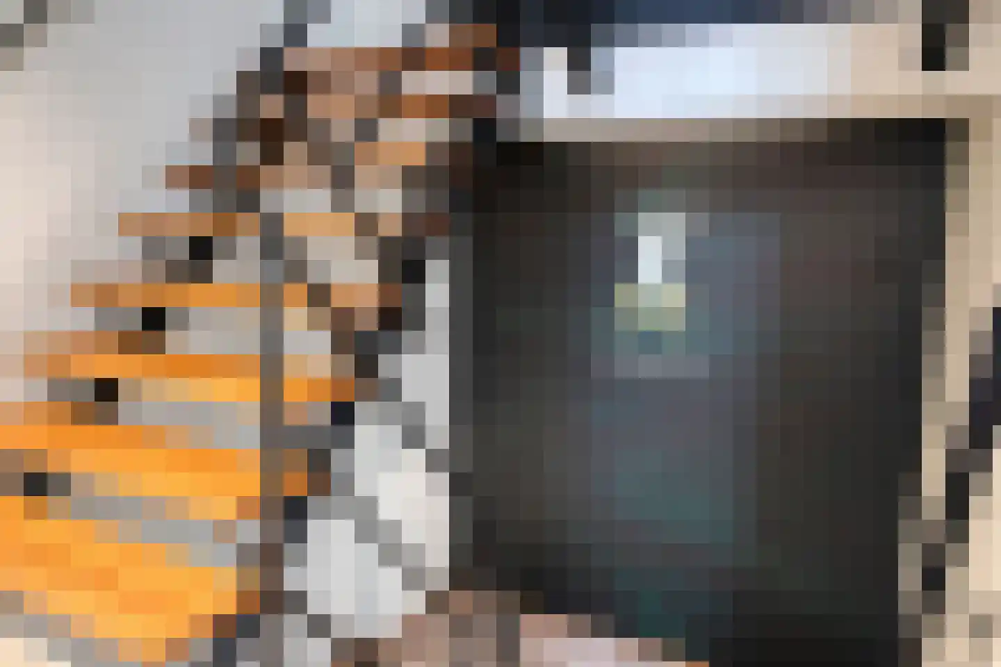 Hertogstraat 1 05 Eindhoven thumbnail 15