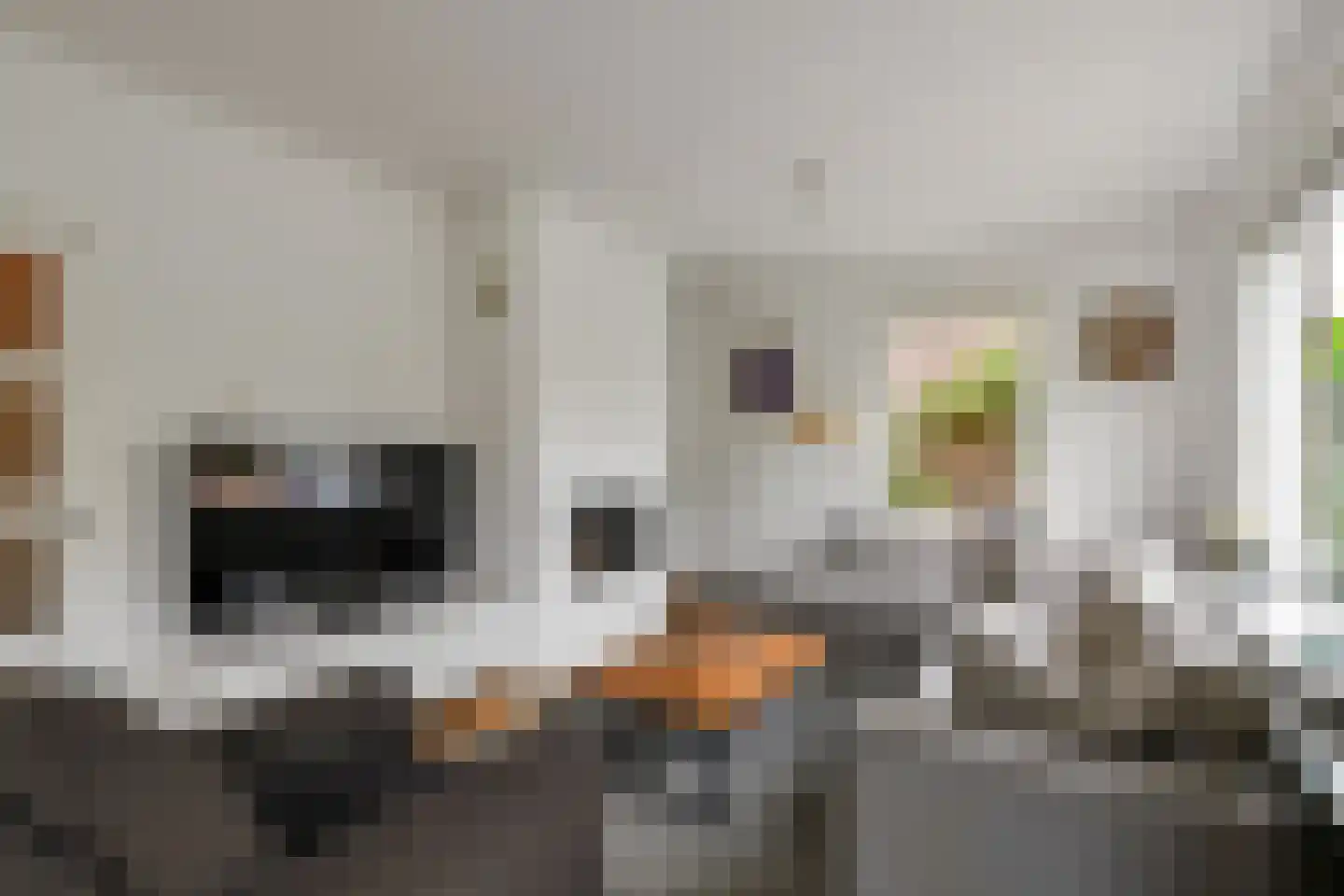 Hertogstraat 1 Velp thumbnail 10