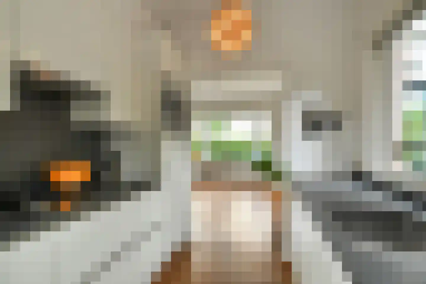 Hertogstraat 1 Velp thumbnail 16