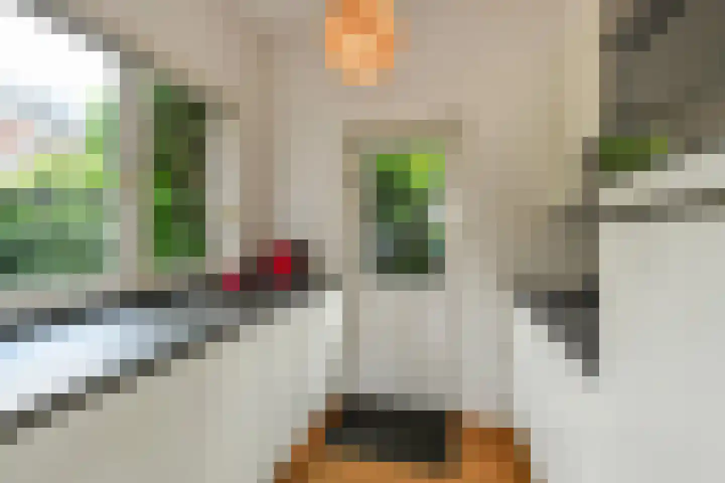 Hertogstraat 1 Velp thumbnail 17