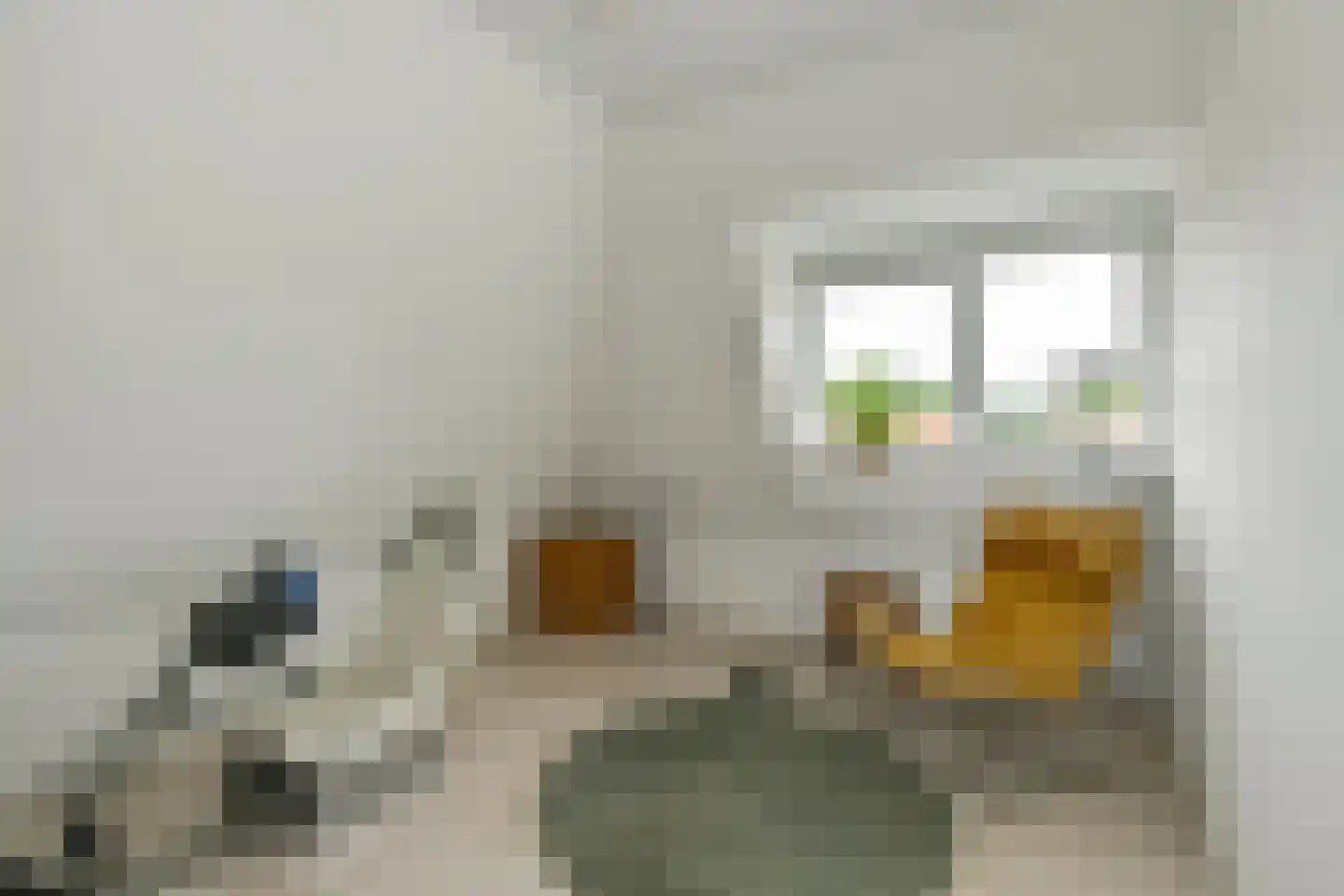 Hertogstraat 1 Velp thumbnail 32