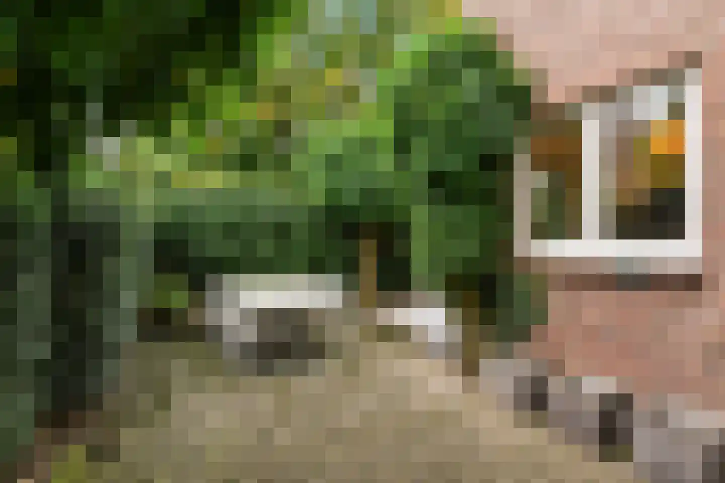 Hertogstraat 1 Velp thumbnail 38