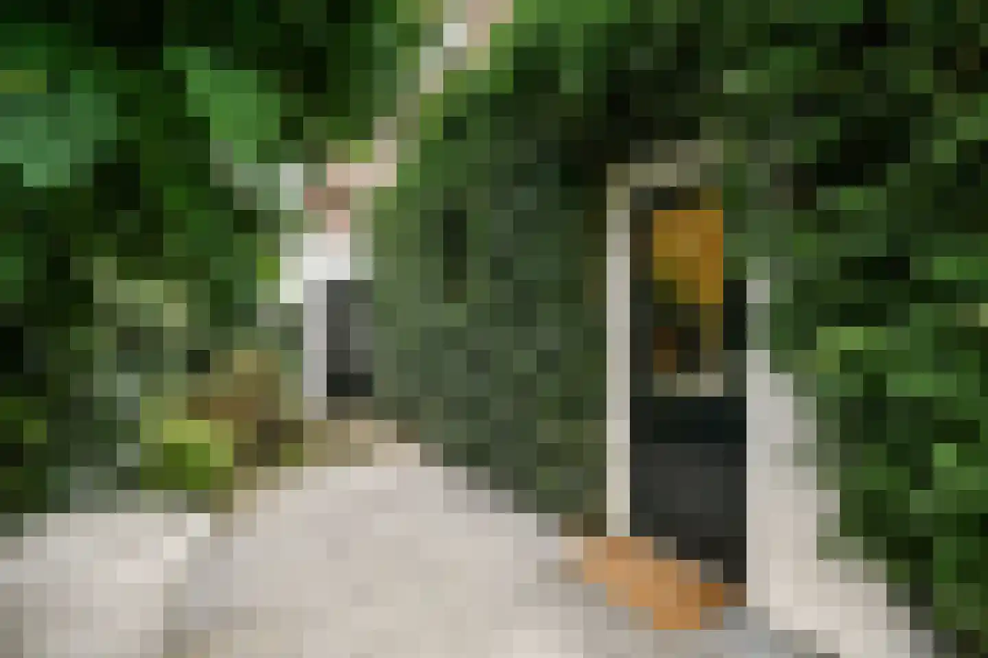 Hertogstraat 1 Velp thumbnail 39
